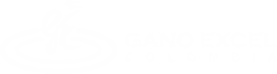 Gano Excel